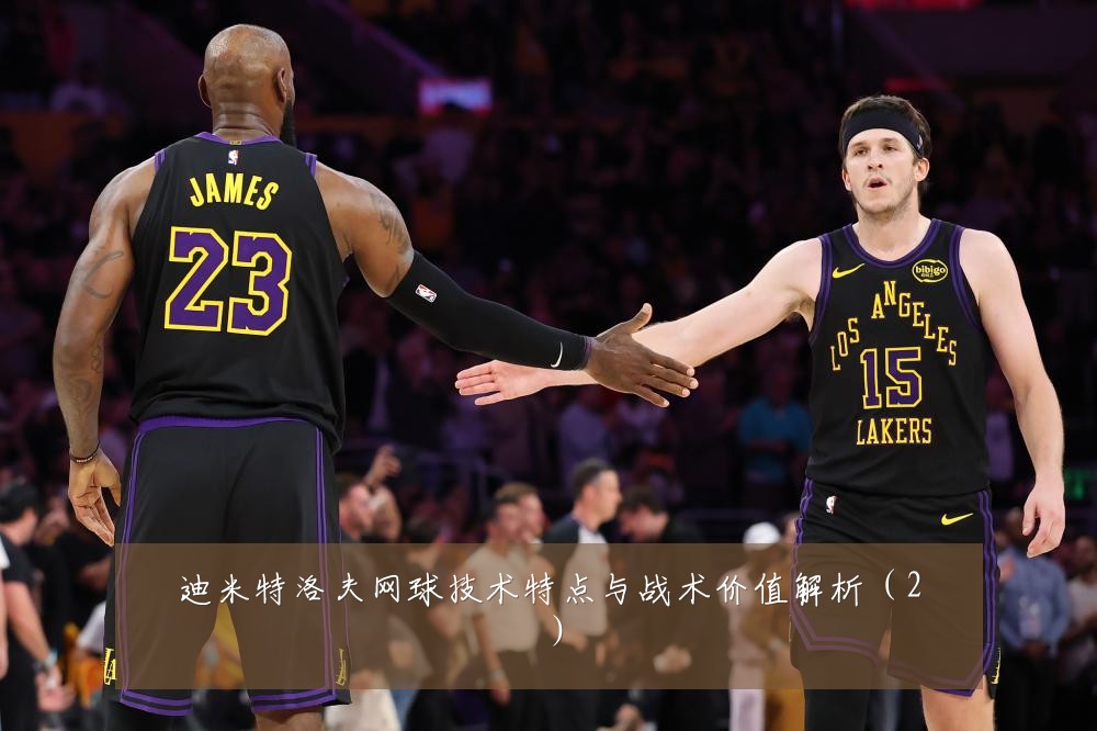 迪米特洛夫网球技术特点与战术价值解析(2)