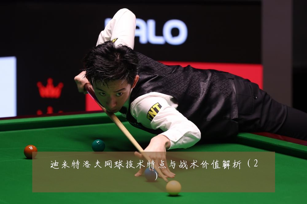 迪米特洛夫网球技术特点与战术价值解析(2)